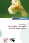 Image for Armactica Conchidia