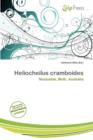 Image for Heliocheilus Cramboides