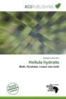 Image for Hellula Hydralis