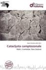 Image for Cataclysta Camptozonale