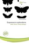 Image for Eupanacra Splendens