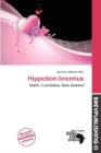 Image for Hippotion Brennus