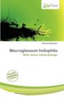 Image for Macroglossum Heliophila