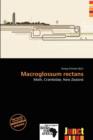 Image for Macroglossum Rectans