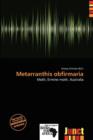 Image for Metarranthis Obfirmaria