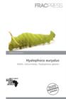 Image for Hyalophora Euryalus