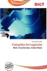 Image for Caloptilia Ferruginella