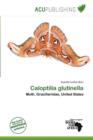 Image for Caloptilia Glutinella