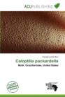 Image for Caloptilia Packardella