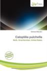 Image for Caloptilia Pulchella