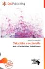 Image for Caloptilia Vacciniella