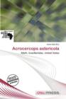 Image for Acrocercops Astericola