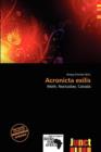 Image for Acronicta Exilis