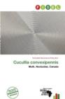 Image for Cucullia Convexipennis