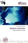 Image for Elaphria Versicolor