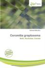 Image for Ceromitia Graptosema