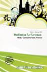 Image for Hellinsia Furfurosus