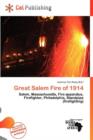 Image for Great Salem Fire of 1914
