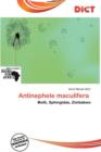 Image for Antinephele Maculifera