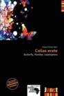 Image for Colias Erate