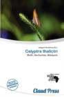 Image for Calyptra Thalictri