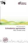 Image for Ectoedemia Agrimoniae