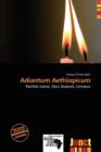 Image for Adiantum Aethiopicum