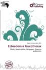 Image for Ectoedemia Leucothorax