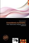 Image for Ectoedemia Turbidella