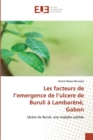 Image for Les facteurs de l&#39;emergence de l&#39;ulcere de Buruli a Lambarene, Gabon