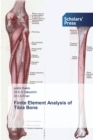 Image for Finite Element Analysis of Tibia Bone