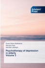 Image for Psychotherapy of depression in elderly Volume 3