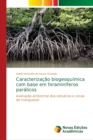 Image for Caracterizacao biogeoquimica com base em foraminiferos paralicos