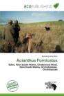 Image for Acianthus Fornicatus