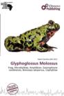 Image for Glyphoglossus Molossus