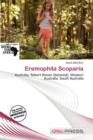 Image for Eremophila Scoparia