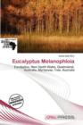 Image for Eucalyptus Melanophloia