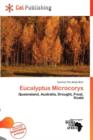 Image for Eucalyptus Microcorys