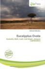 Image for Eucalyptus Ovata