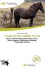 Image for Costa Rican Saddle Horse