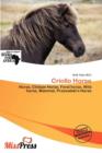 Image for Criollo Horse