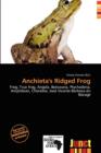 Image for Anchieta&#39;s Ridged Frog