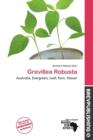 Image for Grevillea Robusta