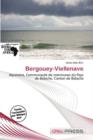 Image for Bergouey-Viellenave