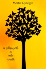 Image for Pillangofa