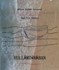 Image for Hullamzonaban