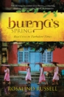 Image for Burma&#39;s Spring : Real Lives in Turbulent Times