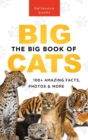 Image for The Big Book of Big Cats