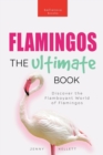 Image for Flamingos : Discover the Flamboyant World of Flamingos