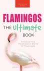 Image for Flamingos The Ultimate Flamingo Book for Kids : 100+ Amazing Flamingo Facts, Photos, Quiz &amp; More